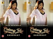 Palang Tod (Zaroorat) Episode 1